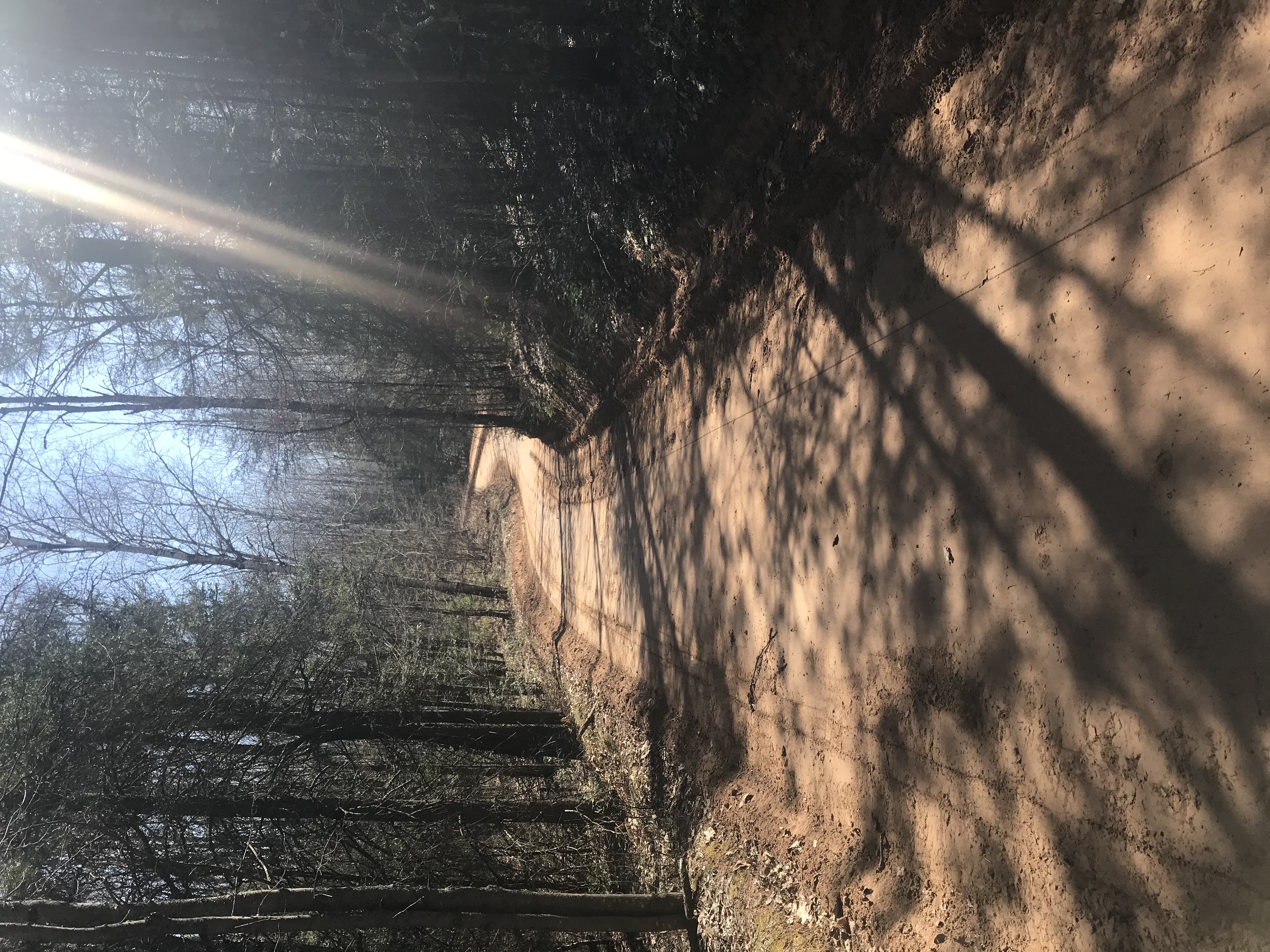 Trail Report 5/8/21